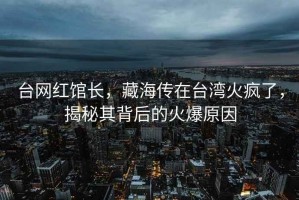 臺網紅館長，藏海傳在臺灣火瘋了，揭秘其背后的火爆原因