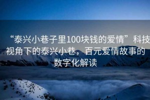“泰興小巷子里100塊錢的愛情”科技視角下的泰興小巷，百元愛情故事的數(shù)字化解讀