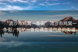 “流沙市雞窩一條街”流沙市雞窩一條街，揭秘一條充滿生活氣息的街道