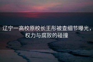 遼寧一高校原校長王彤被查細節曝光，權力與腐敗的碰撞