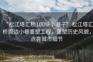 “松江塔匯橋100塊小巷子”松江塔匯橋周邊小巷重塑工程，重塑歷史風貌，點亮城市細節