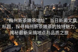 “梅州新茶嫩茶地址”當日新聞文章標題，探尋梅州新茶嫩茶的獨特魅力，揭秘最新采摘地點與品質之旅