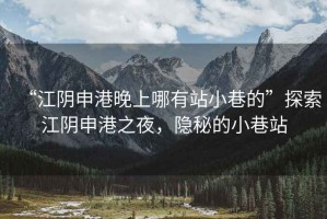 “江陰申港晚上哪有站小巷的”探索江陰申港之夜，隱秘的小巷站