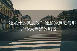 “獨龍什么意思呀”獨龍的意思與那片令人陶醉的風景