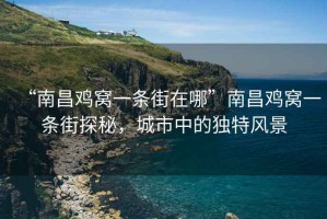 “南昌雞窩一條街在哪”南昌雞窩一條街探秘，城市中的獨特風景