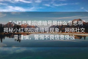 “小紅書里招嫖暗號(hào)是什么意思啊”揭秘小紅書招嫖暗號(hào)現(xiàn)象，網(wǎng)絡(luò)社交需謹(jǐn)慎，警惕不良信息侵蝕