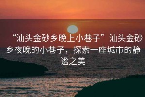 “汕頭金砂鄉(xiāng)晚上小巷子”汕頭金砂鄉(xiāng)夜晚的小巷子，探索一座城市的靜謐之美