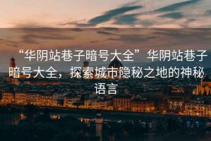 “華陰站巷子暗號(hào)大全”華陰站巷子暗號(hào)大全，探索城市隱秘之地的神秘語言