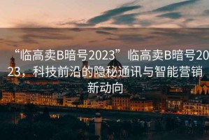 “臨高賣B暗號2023”臨高賣B暗號2023，科技前沿的隱秘通訊與智能營銷新動向