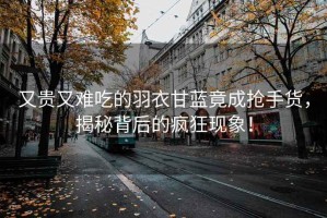 又貴又難吃的羽衣甘藍(lán)竟成搶手貨，揭秘背后的瘋狂現(xiàn)象！