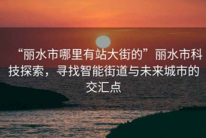 “麗水市哪里有站大街的”麗水市科技探索，尋找智能街道與未來城市的交匯點