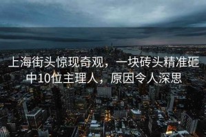 上海街頭驚現奇觀，一塊磚頭精準砸中10位主理人，原因令人深思