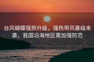 臺風蝴蝶強勢升級，強熱帶風暴級來襲，我國沿海地區需加強防范