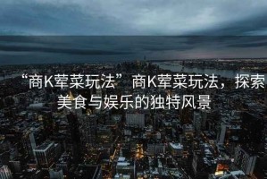 “商K葷菜玩法”商K葷菜玩法，探索美食與娛樂的獨特風景