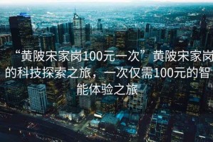 “黃陂宋家崗100元一次”黃陂宋家崗的科技探索之旅，一次僅需100元的智能體驗(yàn)之旅