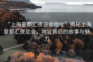 “上海星都匯夜總會地址”揭秘上海星都匯夜總會，地址背后的故事與魅力