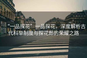 “一品探花”一品探花，深度解析古代科舉制度與探花郎的榮耀之路