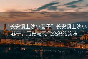 “長安鎮(zhèn)上沙小巷子”長安鎮(zhèn)上沙小巷子,歷史與現(xiàn)代交織的韻味 “長安鎮(zhèn)上沙小巷子”長安鎮(zhèn)上沙小巷子,歷史與現(xiàn)代交織的韻味