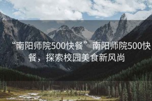 “南陽師院500快餐”南陽師院500快餐，探索校園美食新風尚