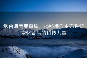 煙臺海面變草原，揭秘海洋生態系統變化背后的科技力量