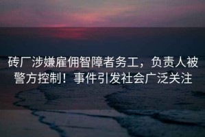 磚廠涉嫌雇傭智障者務工，負責人被警方控制！事件引發社會廣泛關注