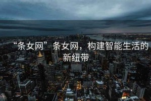 “條女網(wǎng)”條女網(wǎng)，構(gòu)建智能生活的新紐帶