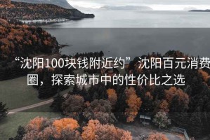 “沈陽100塊錢附近約”沈陽百元消費圈，探索城市中的性價比之選
