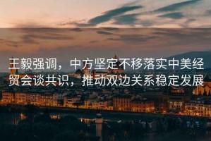 王毅強(qiáng)調(diào)，中方堅定不移落實中美經(jīng)貿(mào)會談共識，推動雙邊關(guān)系穩(wěn)定發(fā)展