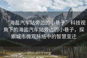 “海鹽汽車(chē)站旁邊的小巷子”科技視角下的海鹽汽車(chē)站旁邊的小巷子，探索城市微觀脈絡(luò)中的智慧變遷