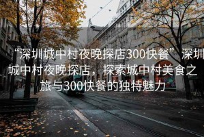 “深圳城中村夜晚探店300快餐”深圳城中村夜晚探店，探索城中村美食之旅與300快餐的獨特魅力
