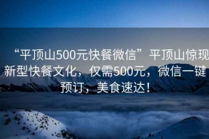 “平頂山500元快餐微信”平頂山驚現新型快餐文化，僅需500元，微信一鍵預訂，美食速達！