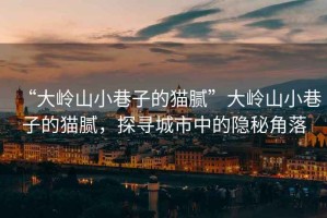 “大嶺山小巷子的貓膩”大嶺山小巷子的貓膩，探尋城市中的隱秘角落