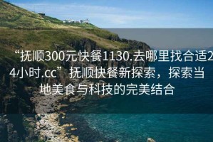 “撫順300元快餐1130.去哪里找合適24小時.cc”撫順快餐新探索，探索當地美食與科技的完美結合
