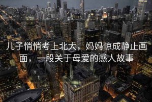 兒子悄悄考上北大，媽媽驚成靜止畫面，一段關于母愛的感人故事