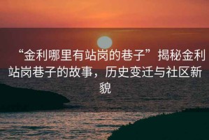 “金利哪里有站崗的巷子”揭秘金利站崗巷子的故事，歷史變遷與社區新貌