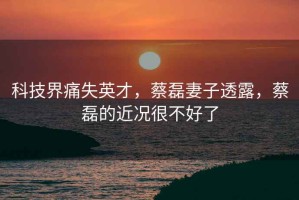 科技界痛失英才，蔡磊妻子透露，蔡磊的近況很不好了