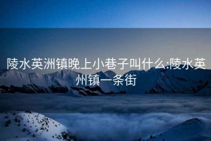 陵水英洲鎮晚上小巷子叫什么:陵水英州鎮一條街
