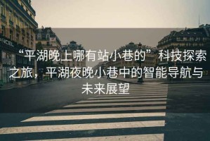 “平湖晚上哪有站小巷的”科技探索之旅，平湖夜晚小巷中的智能導航與未來展望