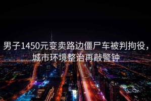 男子1450元變賣路邊僵尸車被判拘役，城市環境整治再敲警鐘