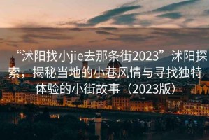“沭陽找小jie去那條街2023”沭陽探索，揭秘當地的小巷風情與尋找獨特體驗的小街故事（2023版）