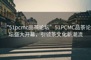 “51pcmc品茶論壇”51PCMC品茶論壇盛大開幕，引領(lǐng)茶文化新潮流