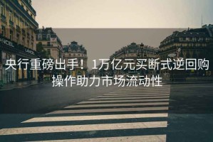 央行重磅出手！1萬億元買斷式逆回購操作助力市場流動性