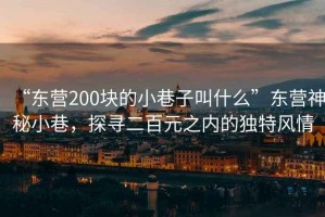 “東營200塊的小巷子叫什么”東營神秘小巷，探尋二百元之內的獨特風情