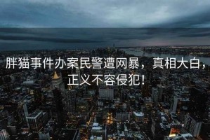 胖貓事件辦案民警遭網暴，真相大白，正義不容侵犯！