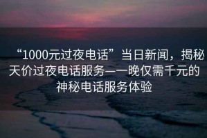“1000元過夜電話”當日新聞，揭秘天價過夜電話服務—一晚僅需千元的神秘電話服務體驗