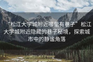 “松江大學城附近哪里有巷子”松江大學城附近隱藏的巷子秘境，探索城市中的靜謐角落