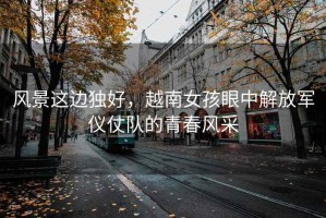 風景這邊獨好，越南女孩眼中解放軍儀仗隊的青春風采