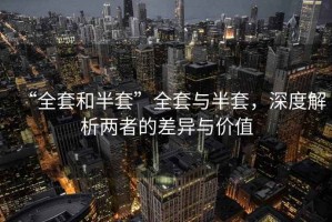 “全套和半套”全套與半套，深度解析兩者的差異與價值