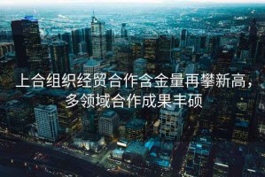 上合組織經(jīng)貿(mào)合作含金量再攀新高，多領(lǐng)域合作成果豐碩