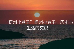 “梧州小巷子”梧州小巷子，歷史與生活的交織